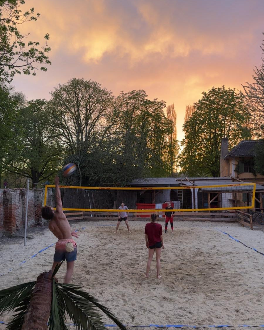 Volleyball
